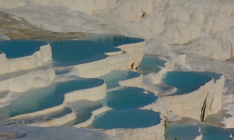 原神森林奇旅怎么过_原神森林地图怎么解锁