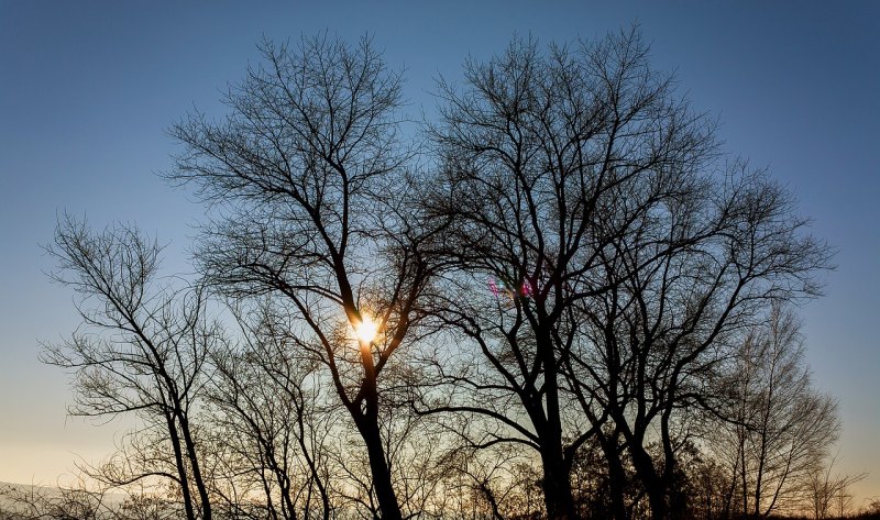 描写夕阳伤感的句子,落日的伤感句子