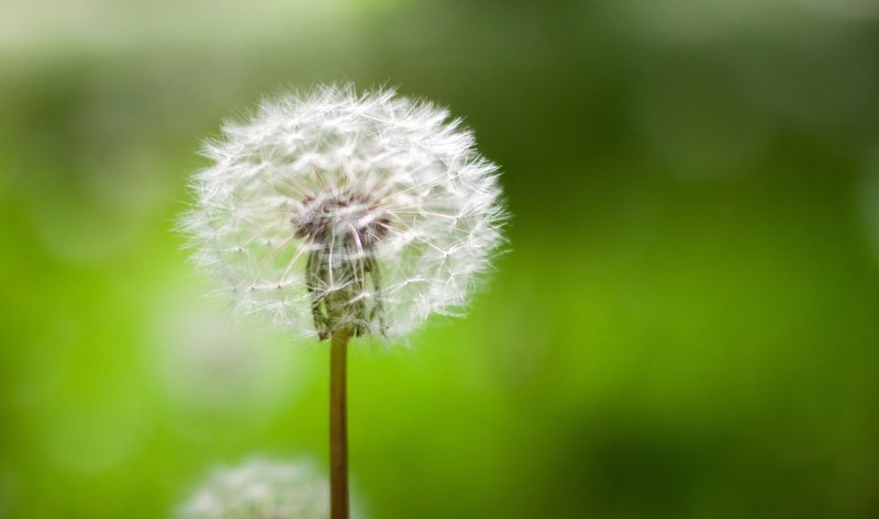 霸气伤感说说朋友圈，爱情伤感霸气的句子