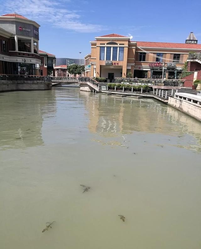 江苏省哪个城市旅游景点最多，江苏旅游城市