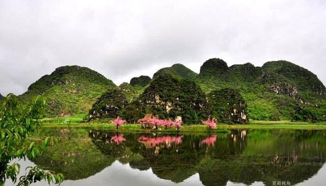 网上旅游团哪个靠谱,旅游团哪家好