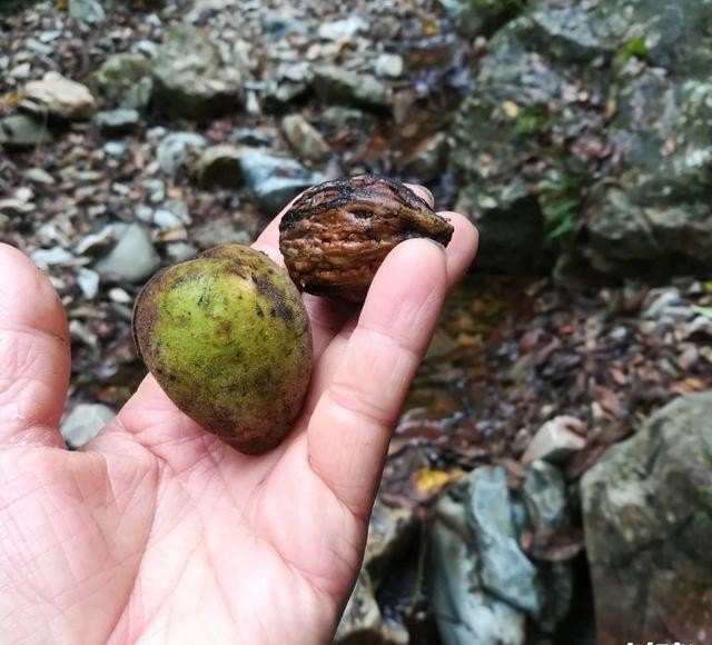 有两天时间休假去哪旅游比较好,年假旅游