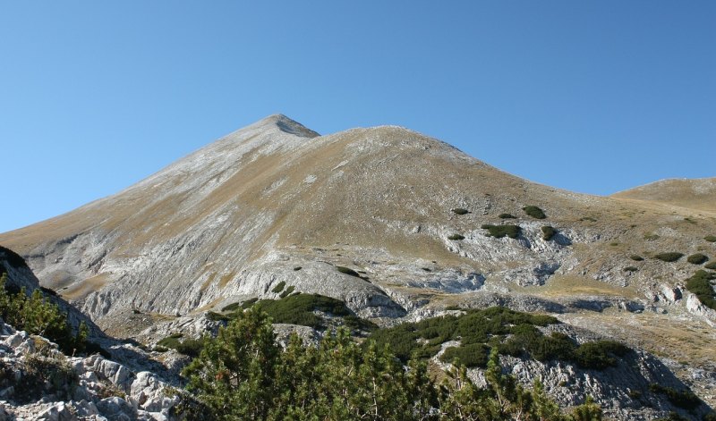 关于爬山后的感慨句子_形容登山心情的句子