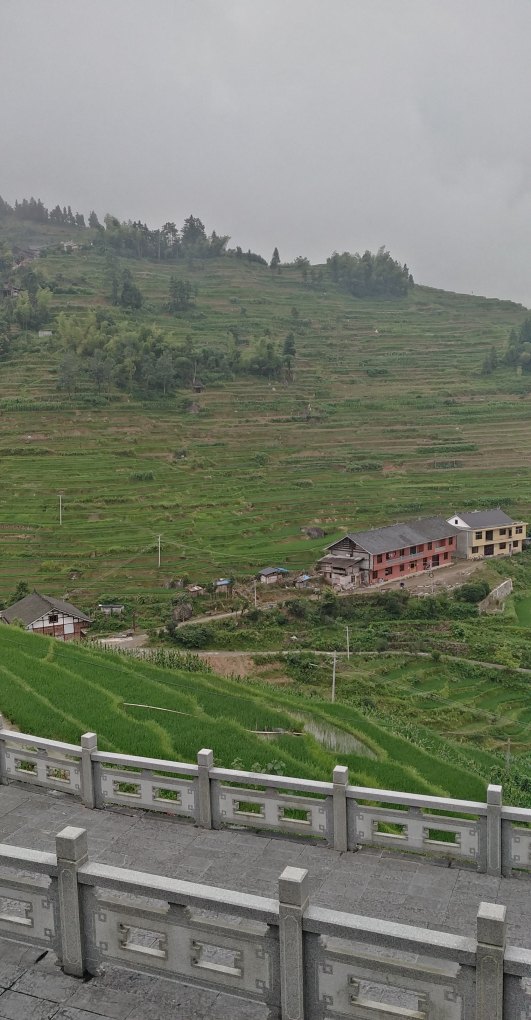 广西桂平市大湾镇大湾村东街在哪,桂平大湾历史人物