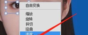 猫咪眼睛斜了怎么办_p图眼睛斜着如何修正