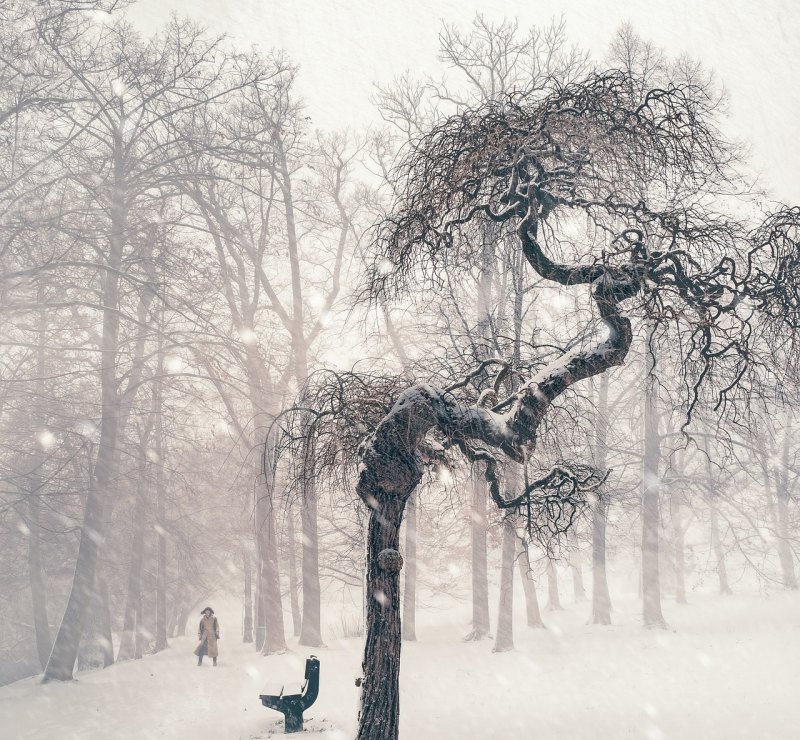 赞美雪景的唯美句子_形容雪的词语唯美语句