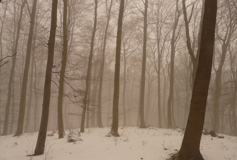 有什么好看的日韩爱情电影_关于下雪的伤感孤独文案，化雪总比下雪冷开始总比结束美好