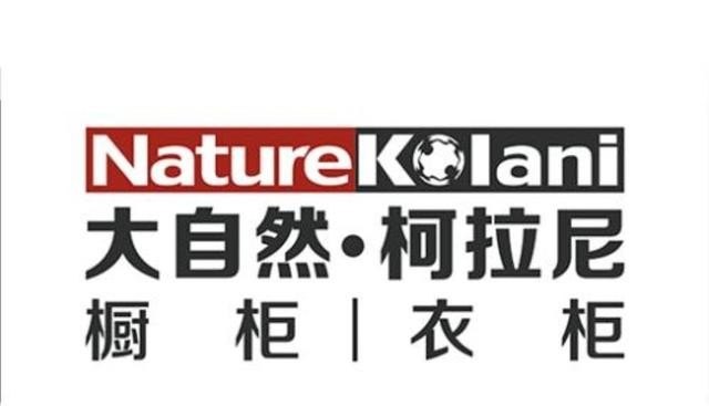 衣柜、橱柜加盟那个品牌好_橱柜十大品牌排行榜，中国最好的橱柜品牌是什么