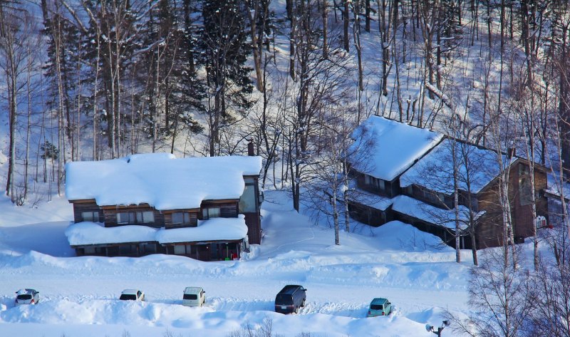 改回中国籍的六大明星,谢霆锋滑雪的句子搞笑