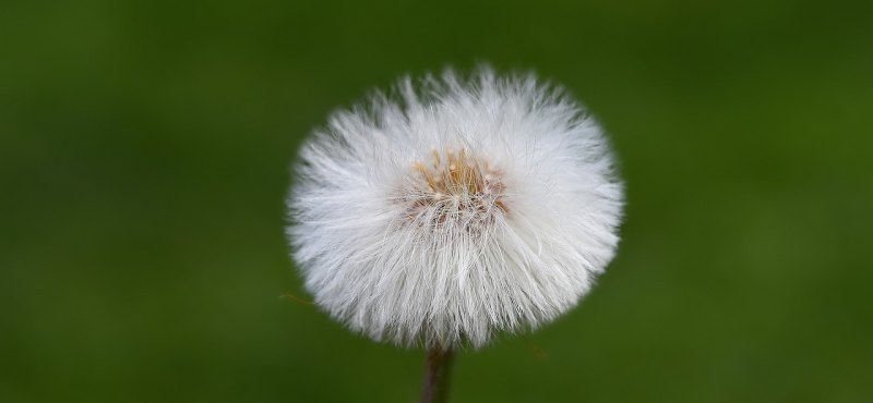 感叹人生聚散的句子，感叹生活聚散的句子