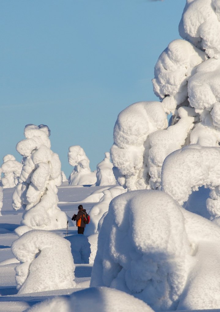 赞美春雪代表人心情的短句_配雪景的伤感文案