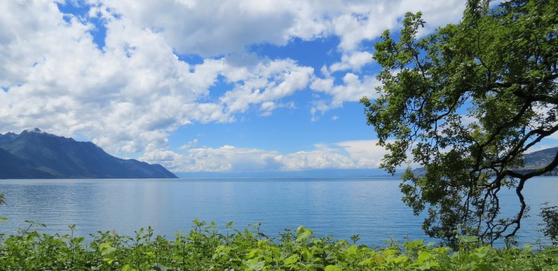 黄梅哪里有好玩的地方,黄梅旅游