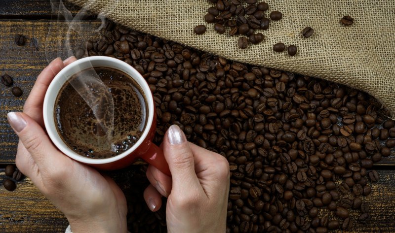 好茶送给懂茶人的句子,茶人农村生活句子