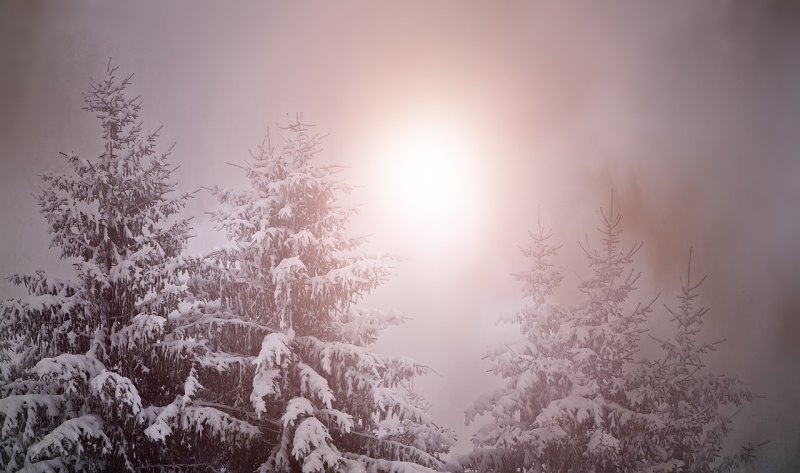 下雪天的心情经典短句,雪天心情句子