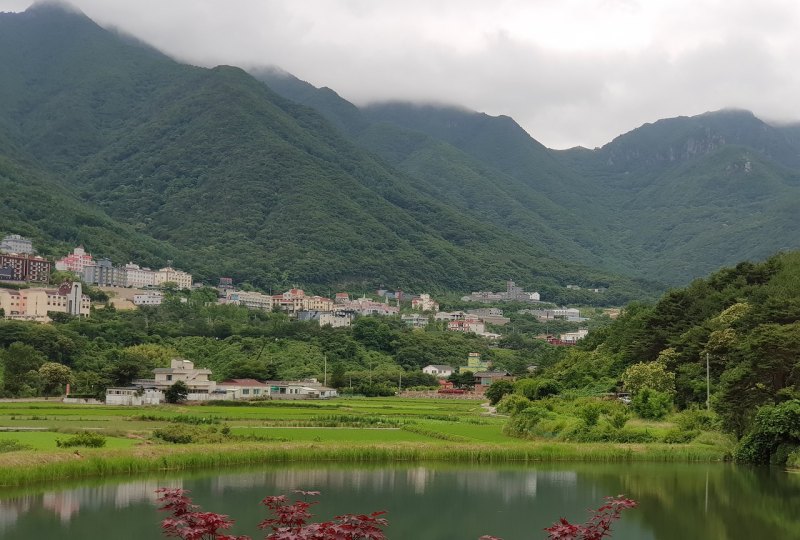 丽水避暑自驾游攻略_丽水莲都区美食推荐的餐厅有哪些地方