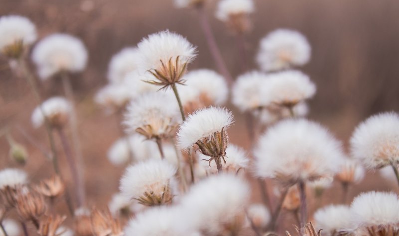 端午节想家不能回的伤感句子_远嫁的我想家了的心酸句子