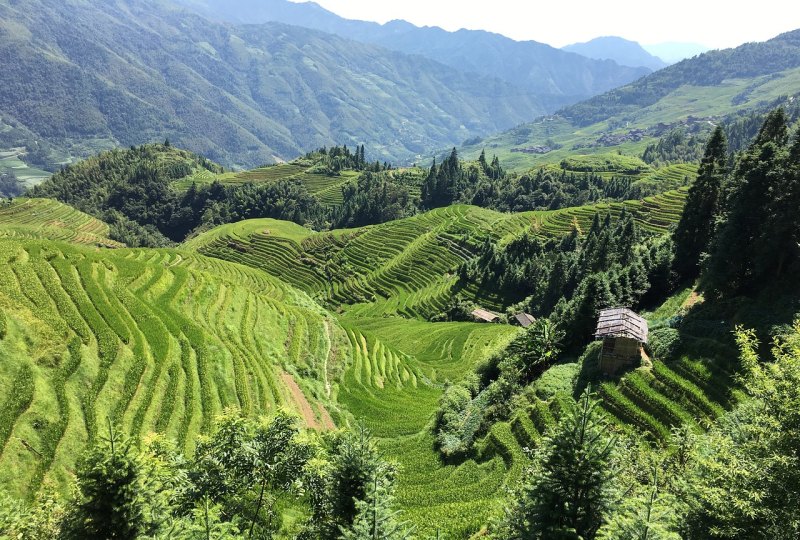 紫鹊界梯田好玩吗 紫鹊界梯田旅游攻略,梯田旅游攻略