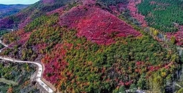 许昌十大古村落_保护古村落的宣传标语