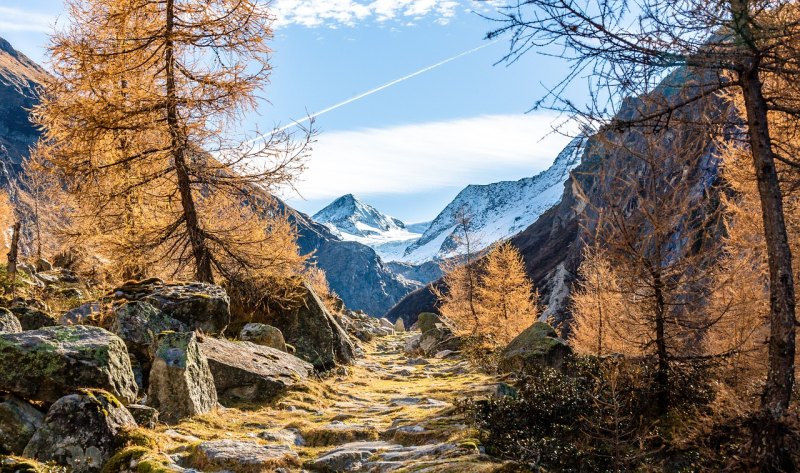 黄山2天1晚住白云宾馆攻略,黄山旅游住宿