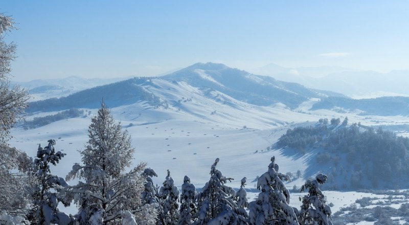 雪文案短句干净治愈冬天_下雪的文案短句干净治愈