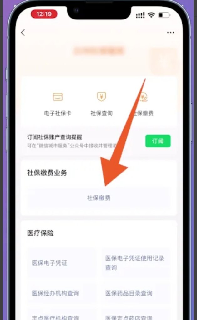 医疗保险手机上怎么交,手机医疗