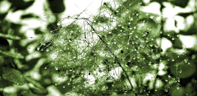 10句带雨字的七言古体诗_关于无情的雨滴的优美句子