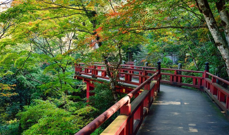 竹溪桃花岛旅游景区介绍_竹溪县文化和旅游局惠游竹溪周边游每月几号到十八里长峡一游