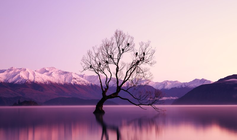 夕阳最温暖的句子_夕阳人生感言经典语录