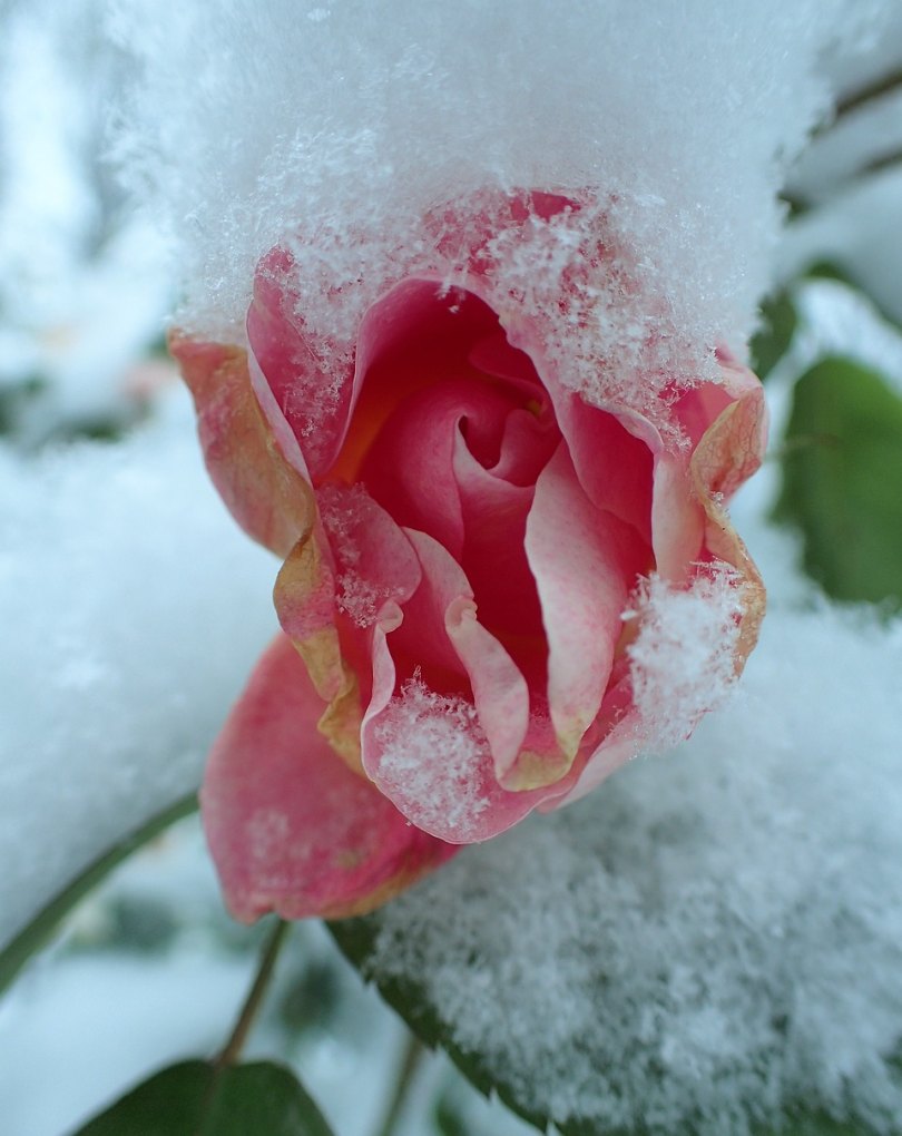 一场无关风花雪月的红尘的唯美句子_烟火味生活的浪漫句子