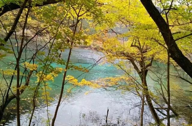 为什么旅游过后有一种失落感,旅游很累