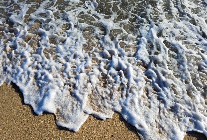 on the sea与in the sea的区别，去海边英语怎么说