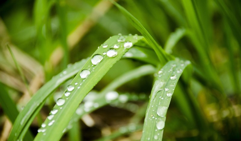 雨天看房的说说，下雨看房正能量句子说说