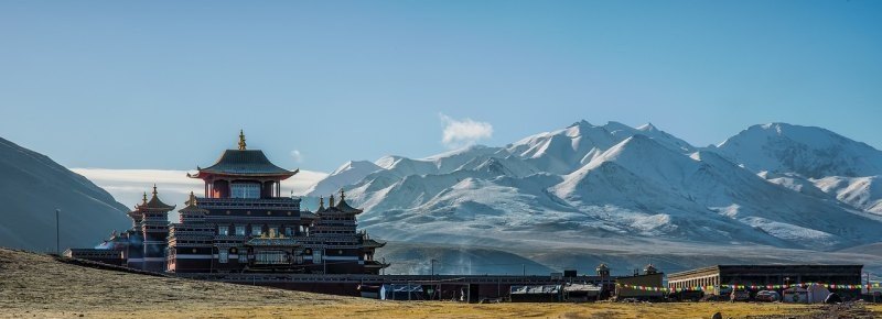 原神雷泽的强度怎么样_原神龙脊雪山雷泽武器怎么拿