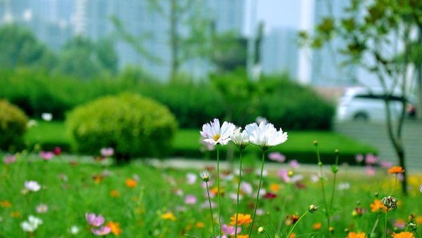 自律的幽默句子，英语口语学习自律女孩