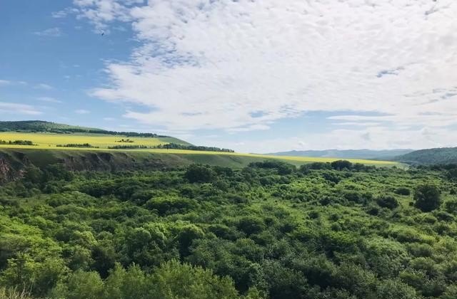 过年想去根河旅游，有好的建议吗,根河旅游