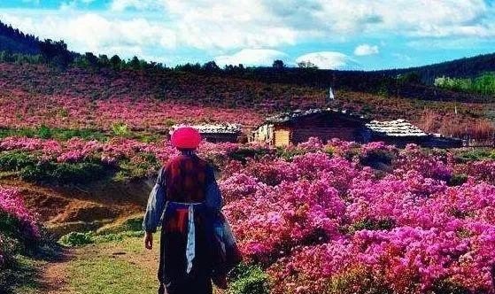 推荐几个比较适合小朋友的景点吧，小学生旅游攻略