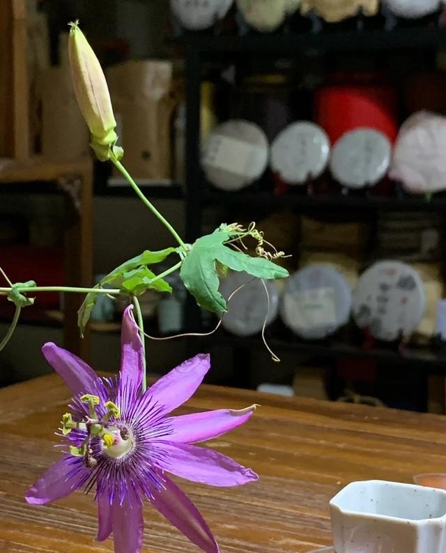 东营吾悦喜茶在几楼_古茗哪些城市有限定帆布袋