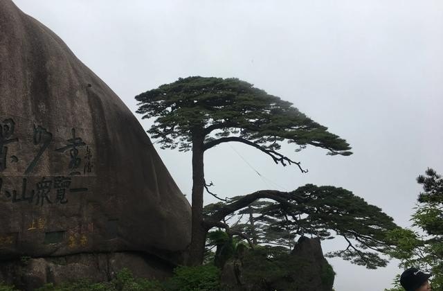 莫高窟a票买不到怎么办,敦煌旅游团