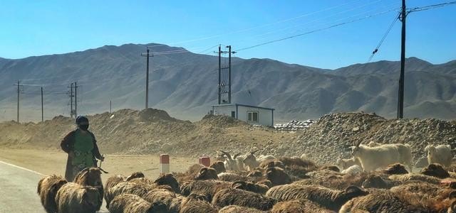 什么时候去新疆旅行好？我想拍照，什么时候去旅行风景最好,新疆摄影旅游