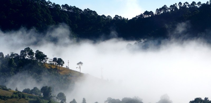 宿迁袁家村景点介绍,洋河旅游