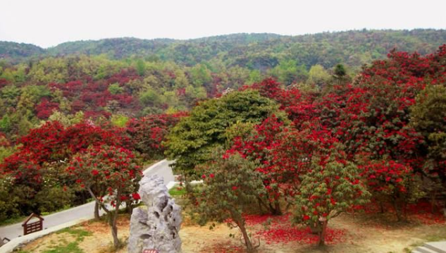 2022春节去哪旅游，2020春节旅游