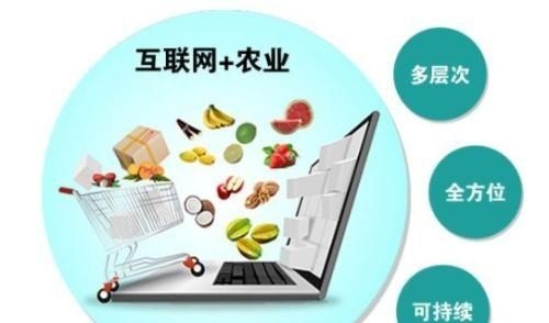 有什么比较好的农产品交易平台_国内的农产品交易平台哪个好