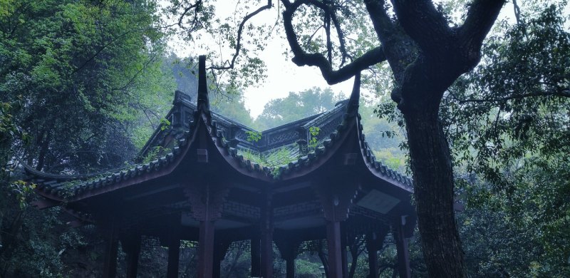 下雨天不想出门的句子_不懂雨的说说