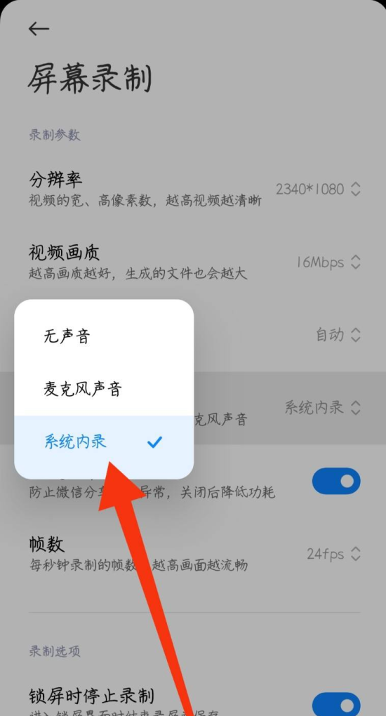 手机屏幕录制声音怎么设置，手机声音录制