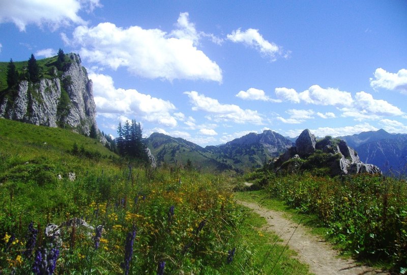 成都周边有什么适合老年人的乡村旅游地,成都乡村旅游