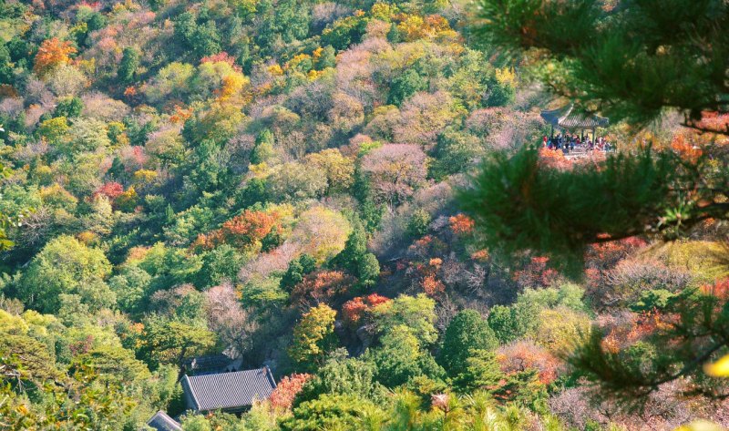 抚州金溪十大景点_金溪竹桥古村要门票吗