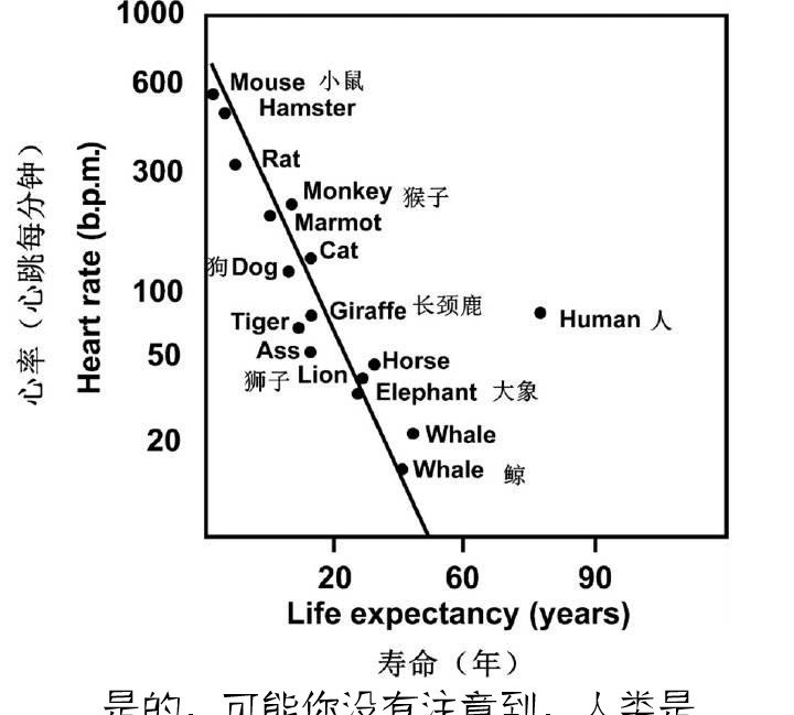 中国历史与社会性别,中国历史与社会性别 - 华夏历史