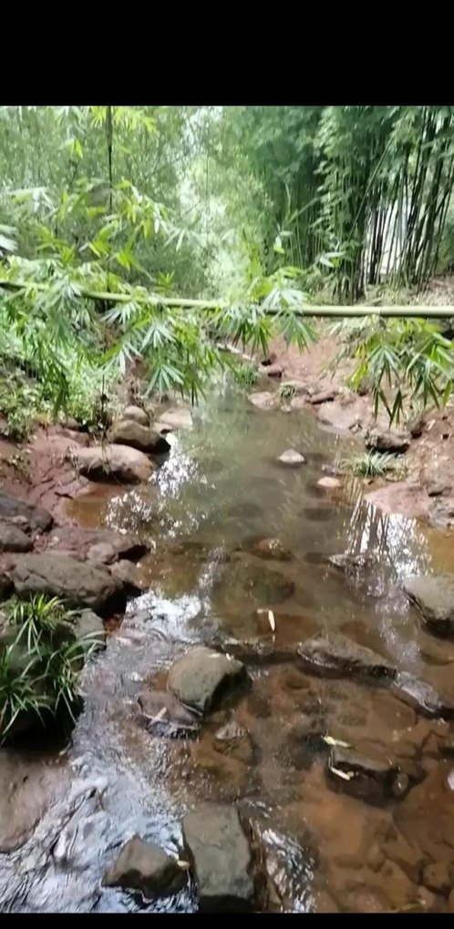 客家土楼什么时候出现_茂芝会议纪念馆周边有啥景点 - 华夏历史