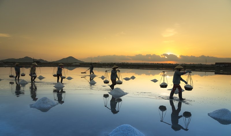 青海夏天为什么凉快,暑假旅游凉快