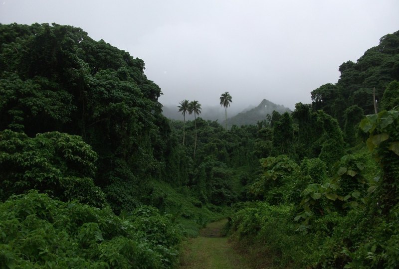 桐乡爬山最佳地点 桐乡旅游景点